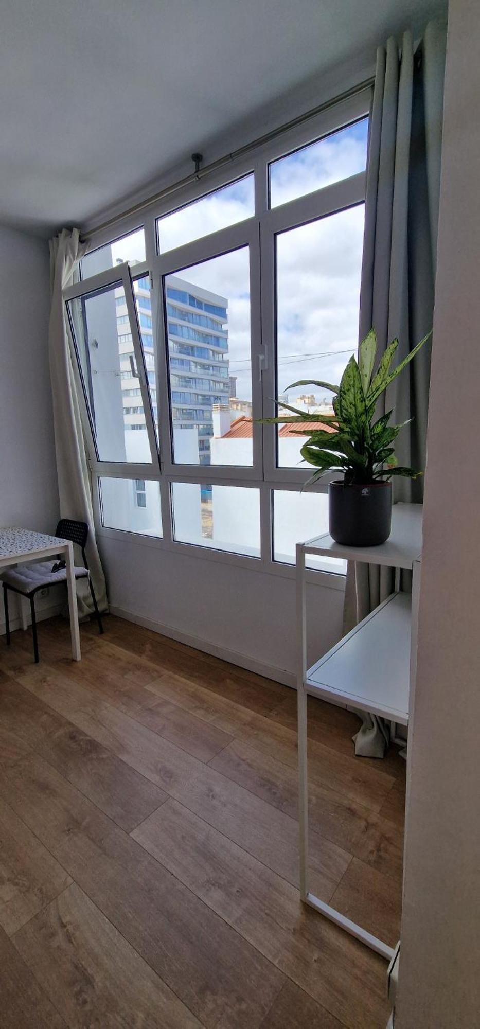 Estudio Canteras Beach Las Palmas de Gran Canaria Eksteriør billede