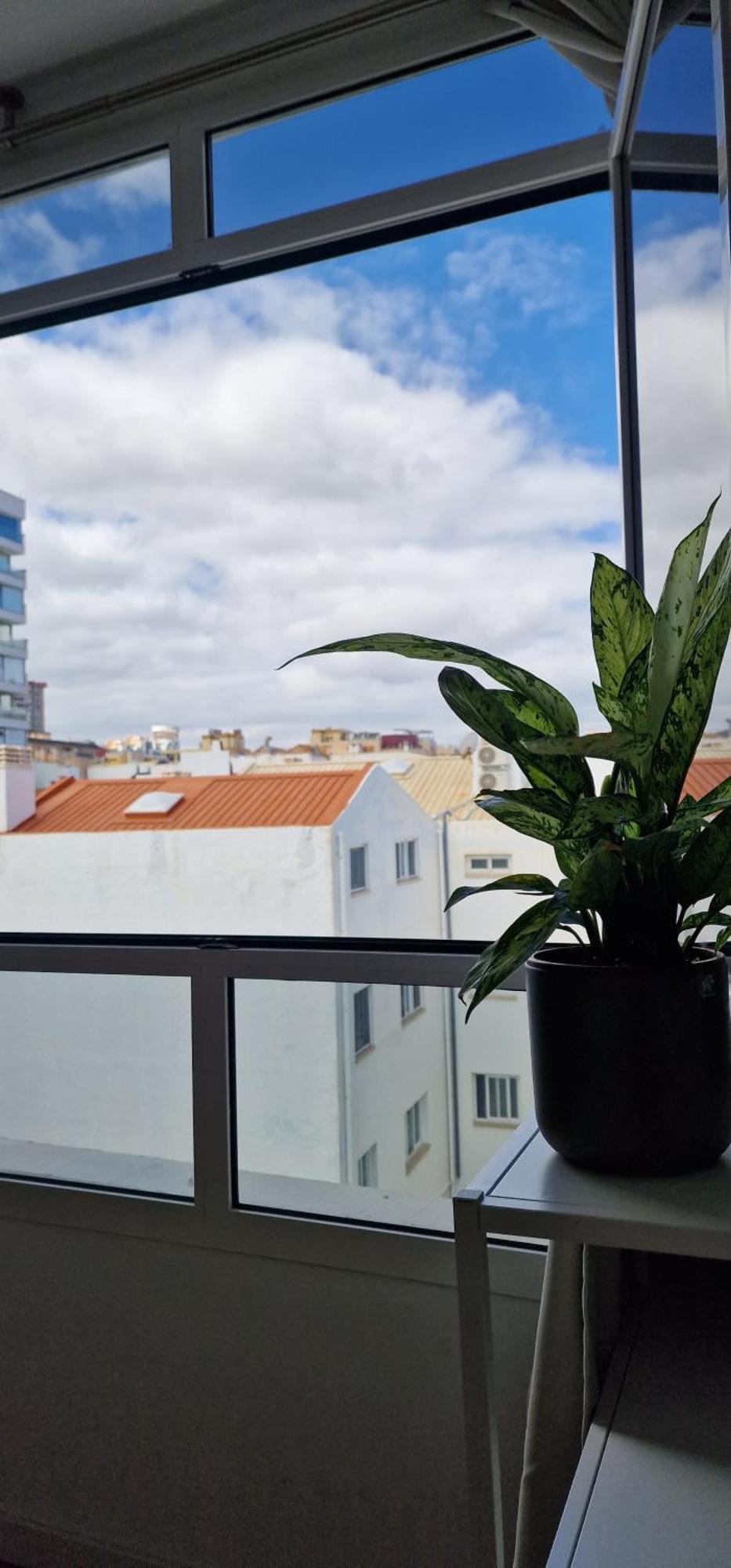 Estudio Canteras Beach Las Palmas de Gran Canaria Eksteriør billede